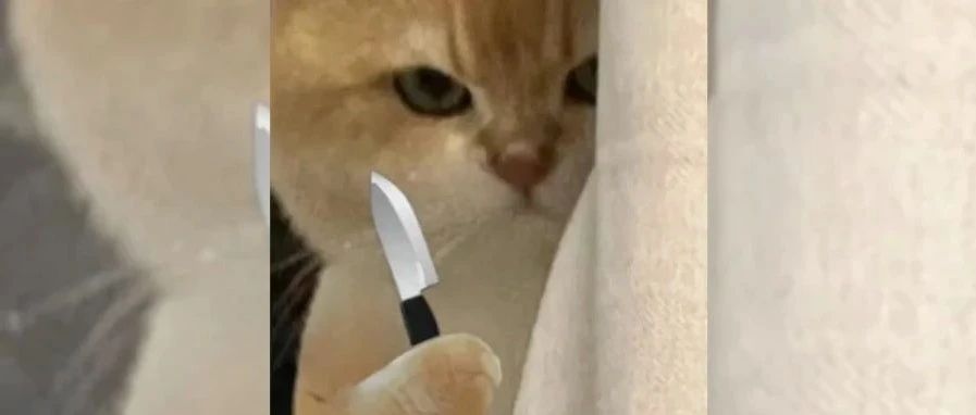 &sup2;⁰&sup2;⁵/₀₃.₂₂雅思考试回忆丨这真是离谱到家了...